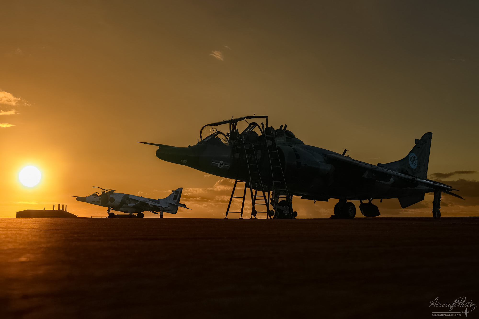 Harrier Sunset